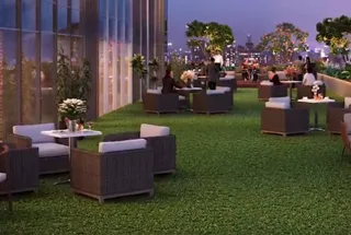 Rejuvenation Area