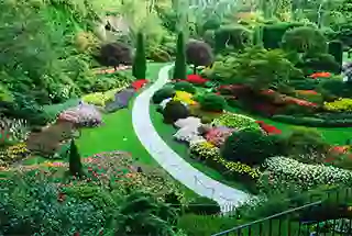 Landscaped Garden